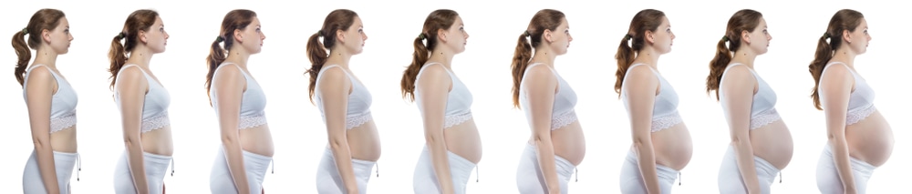 En lo que respecta a las personas En expansión Renacimiento 11 diferencias entre el embarazo de niño y el embarazo de niña